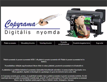Tablet Screenshot of plakatnyomtatas.net